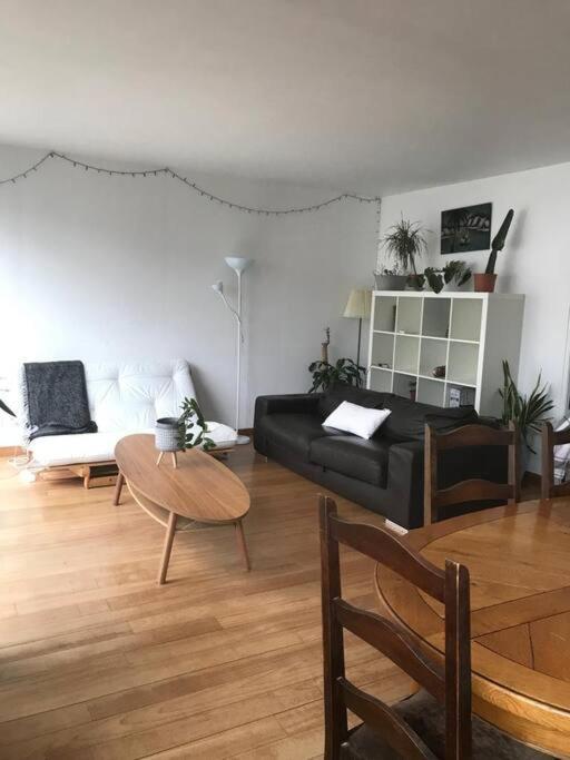 Luxury Centric Flat In Paris