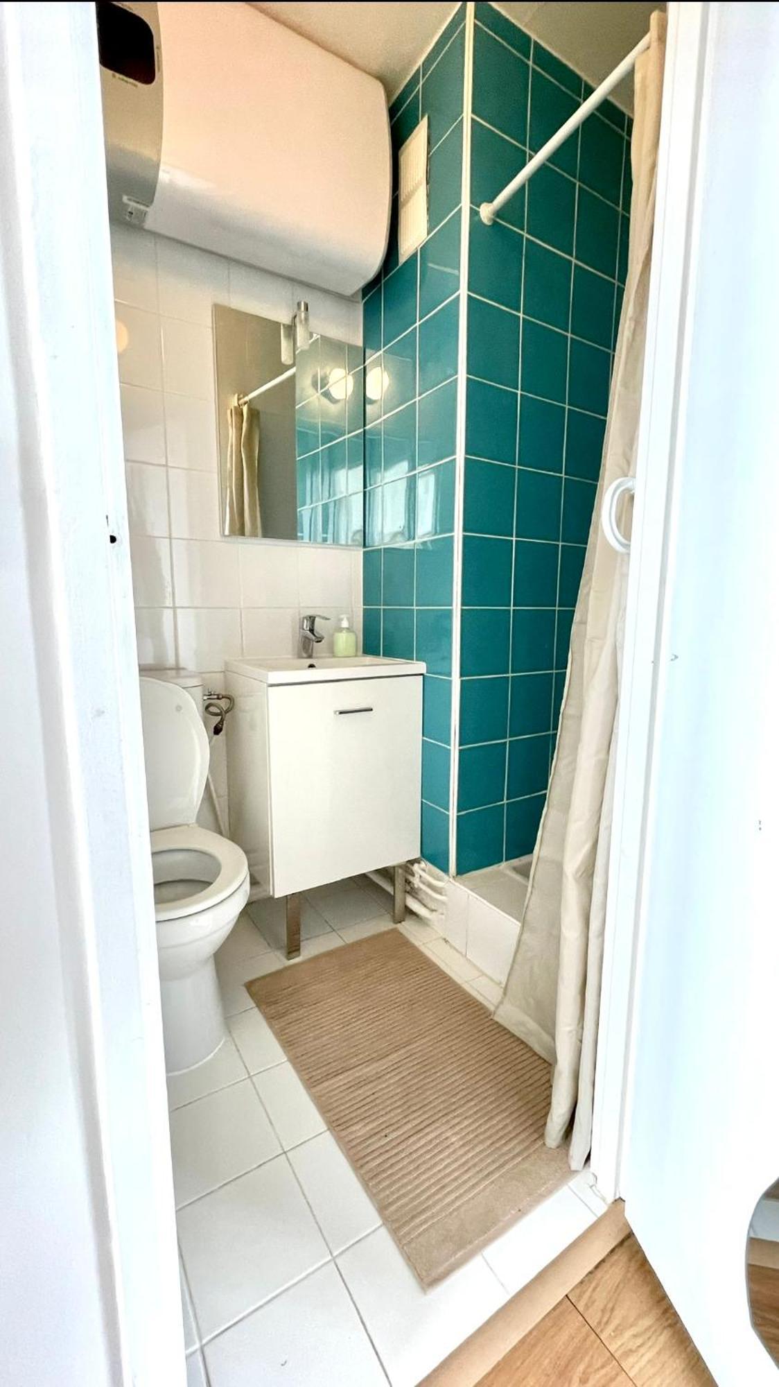 Apartment Charming Bright Sunny In Belleville *