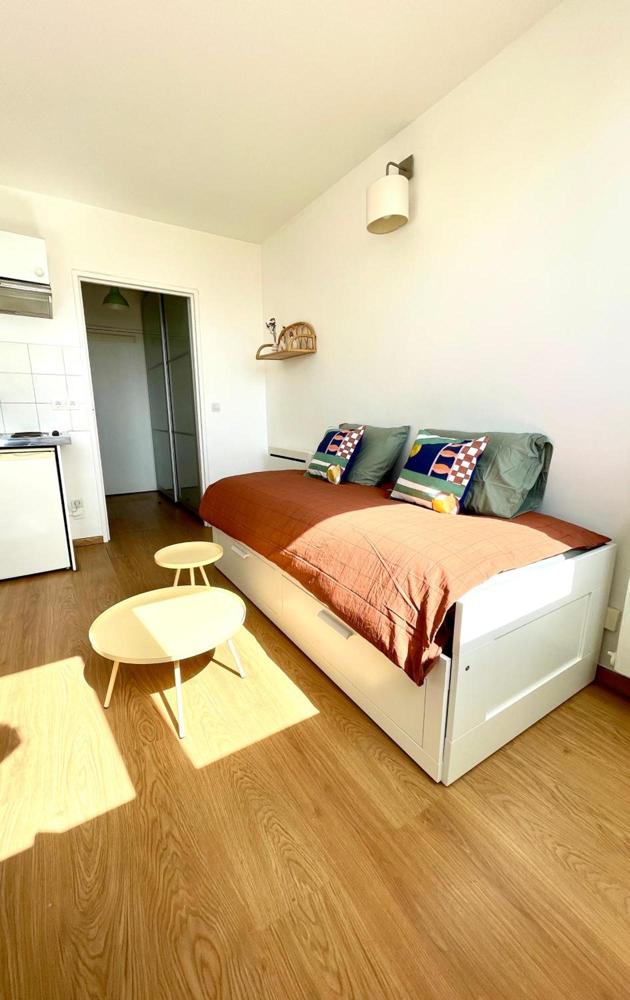 Apartment Charming Bright Sunny In Belleville