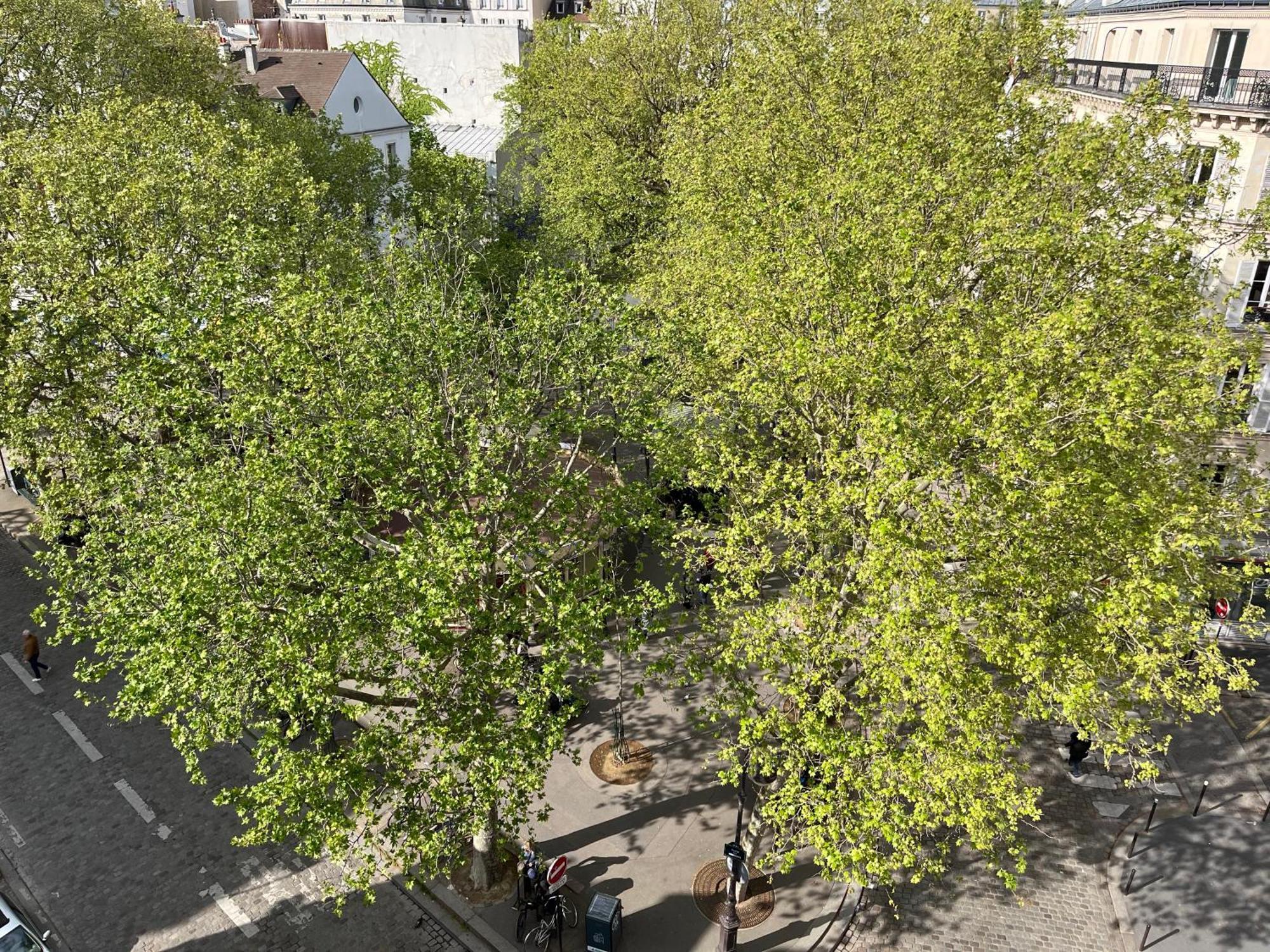 Montmartre Belle Vue Apartment *
