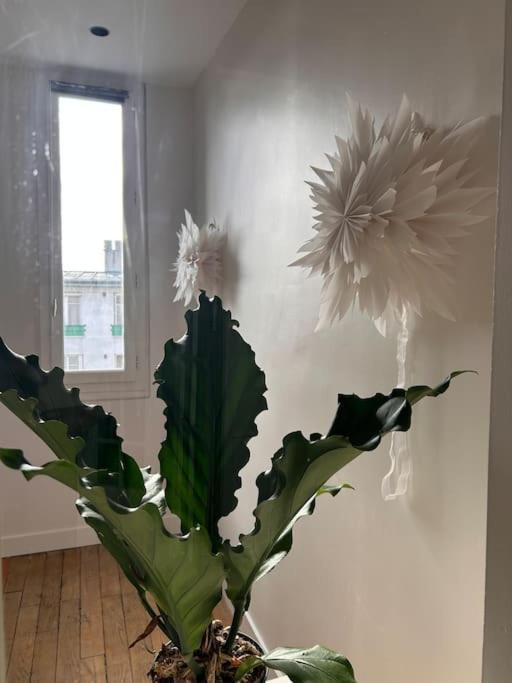 Un Fabuleux Decor Pour Un Chaleureux Apartment *