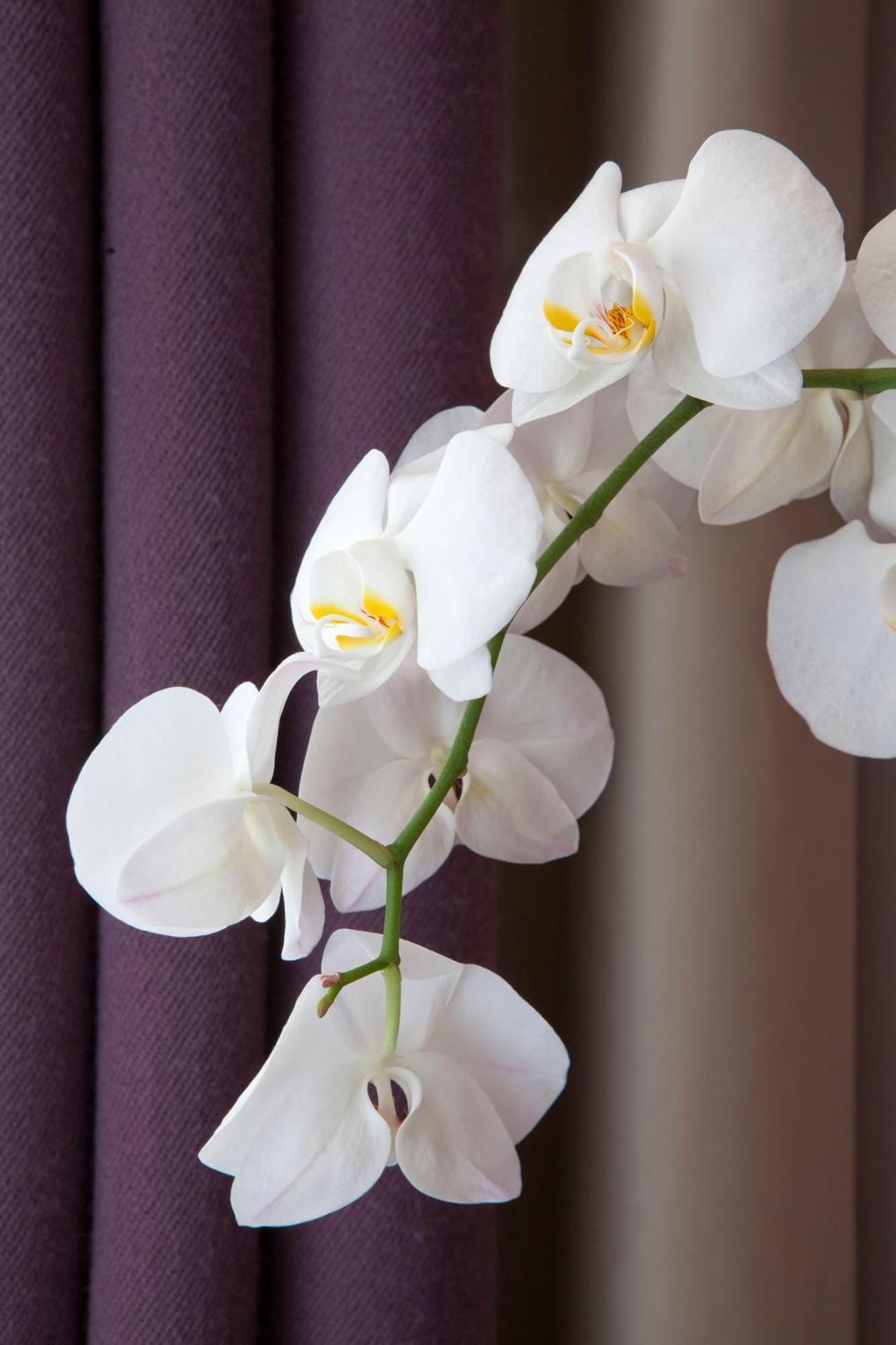 Hotel Duret Champs Elysees Parigi