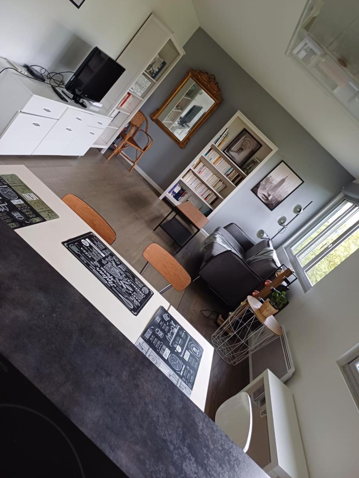 Apartment Superbe Centre - Buttes Chaumont Paris