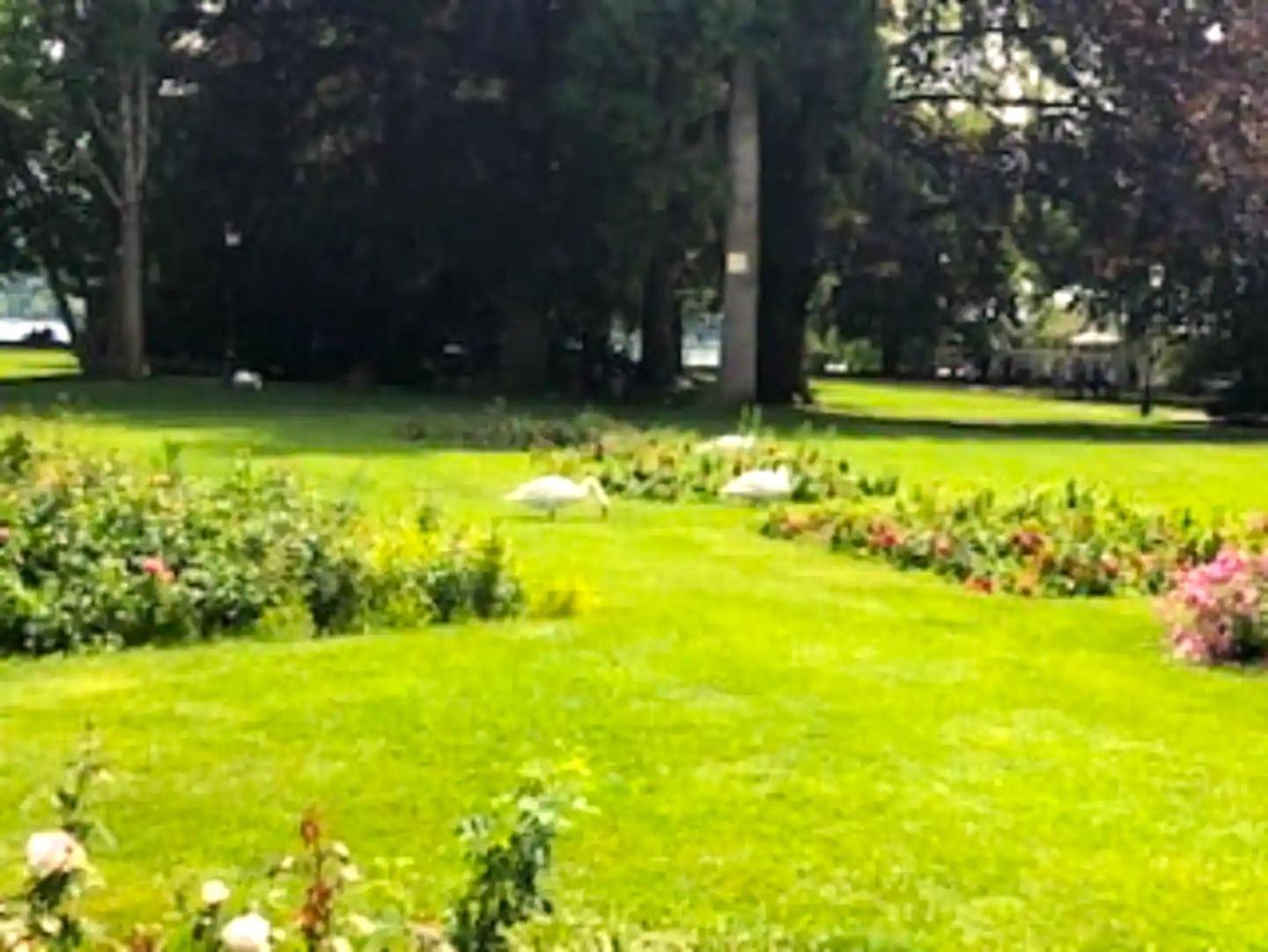 Beautiful 3 Flat - 14percent Sales Park Montsouris In Centre14eme Direct To Airport Appartamento *