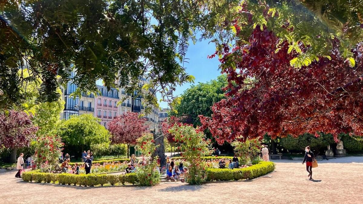 Notre Dame In Full Colors Apartment Paris