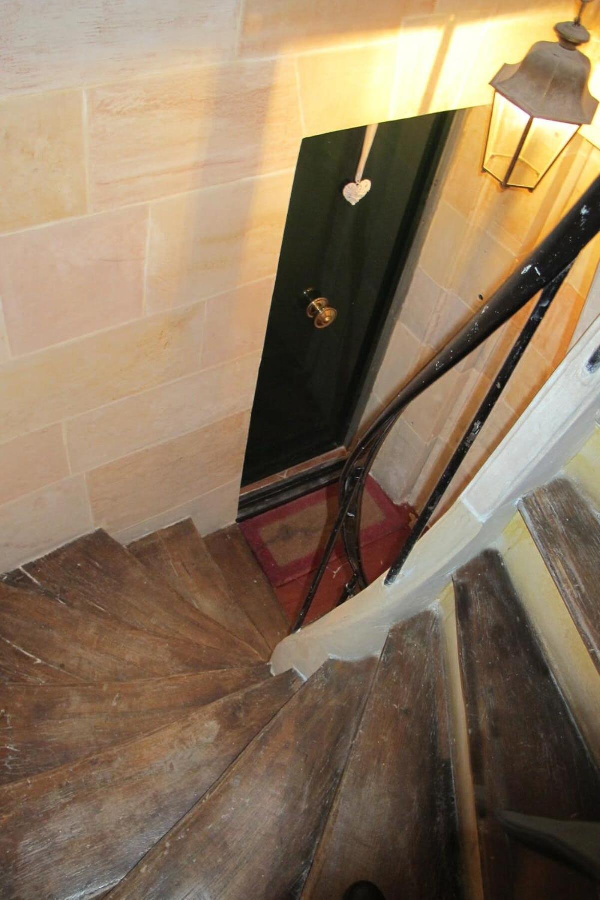 Notre Dame In Full Colors Apartment Paris