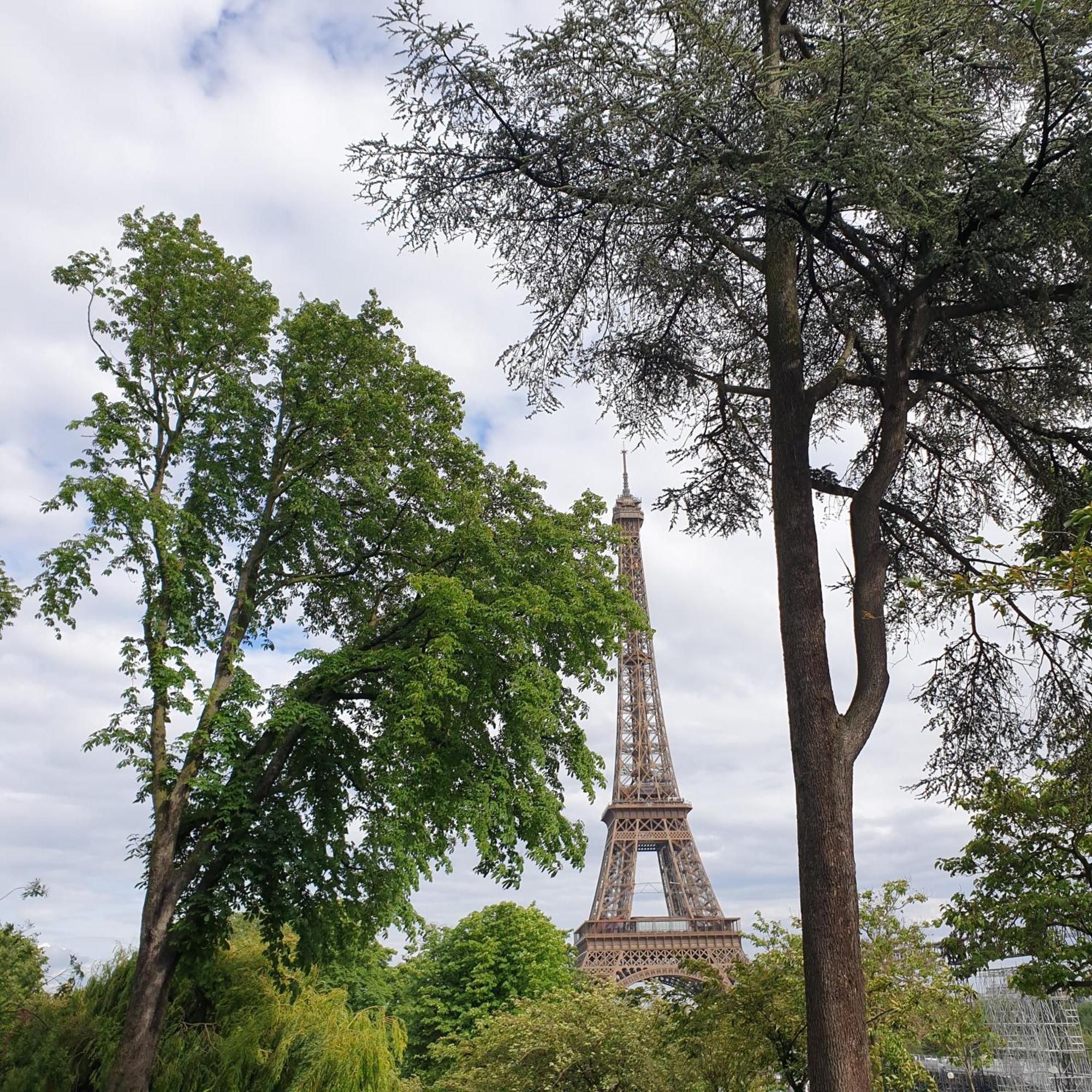 Eiffel Tower Trocadero