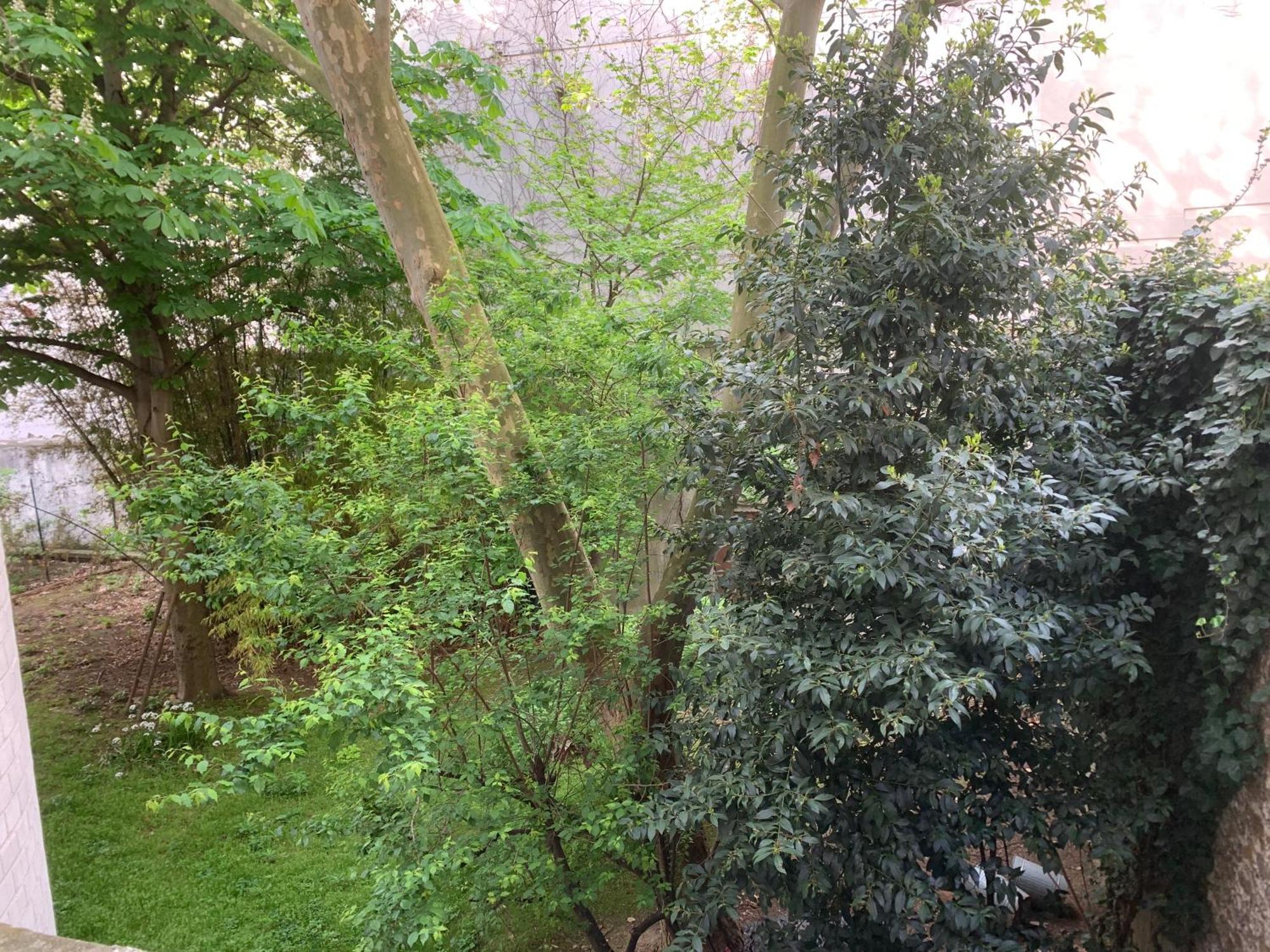 Appartamento Pere Lachaise *