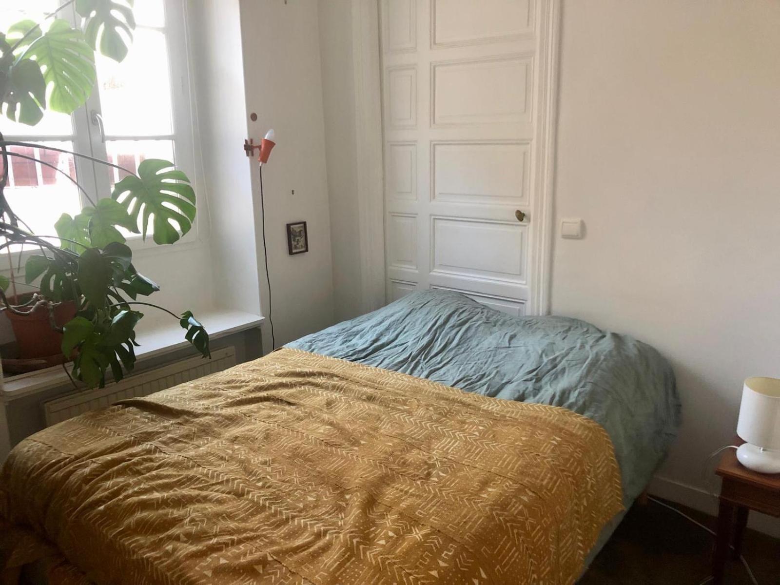 Charming Saint Germain Saint Michel Apartment Paris
