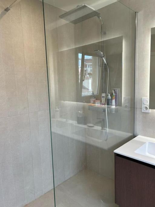 Apartment Sur Les Toits De Paris