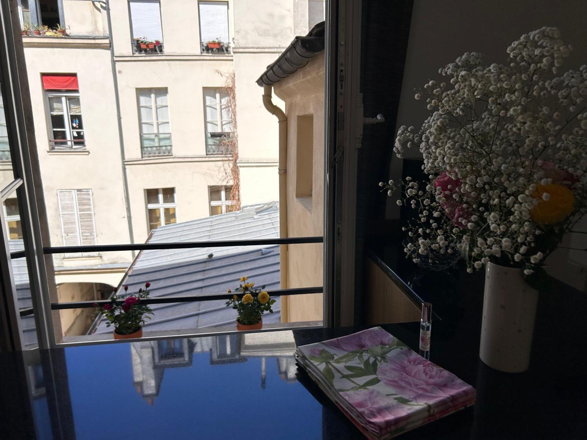 Rose Appartamento Parigi