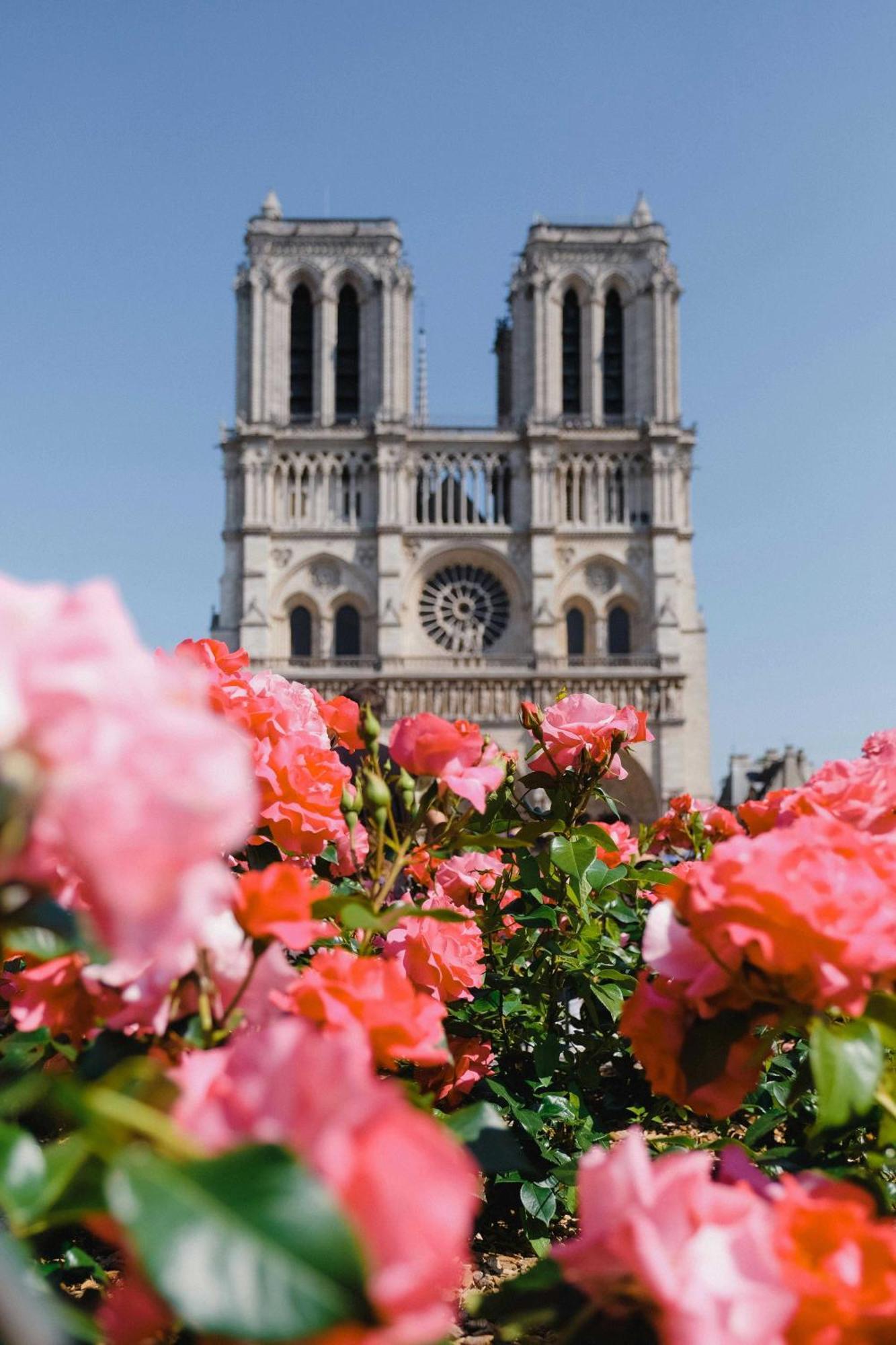 Authentic - 2br - 4p - Monnaie Paris