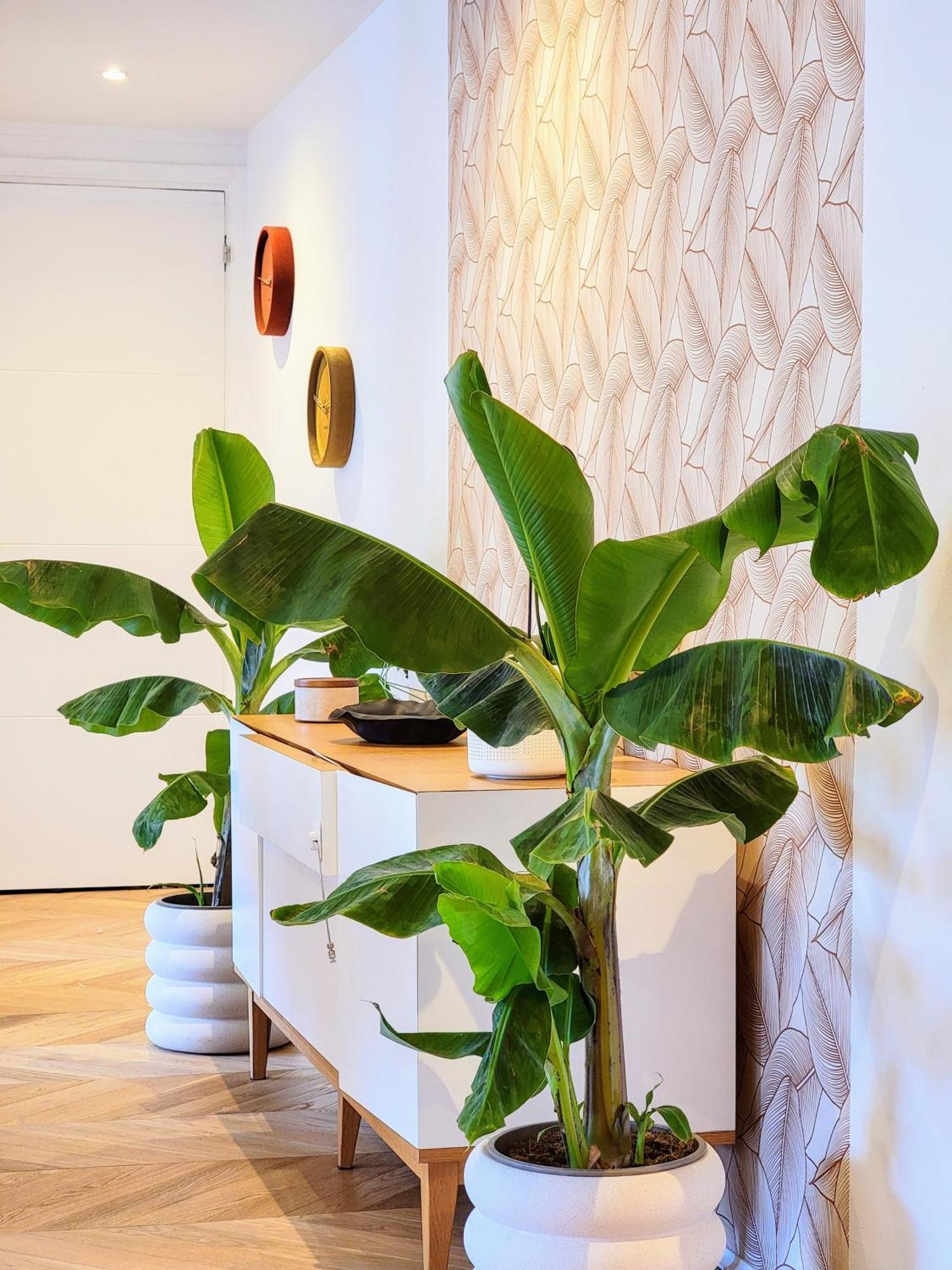 Luxury Flat With Balcony Near Arc De Triomphe * Parigi