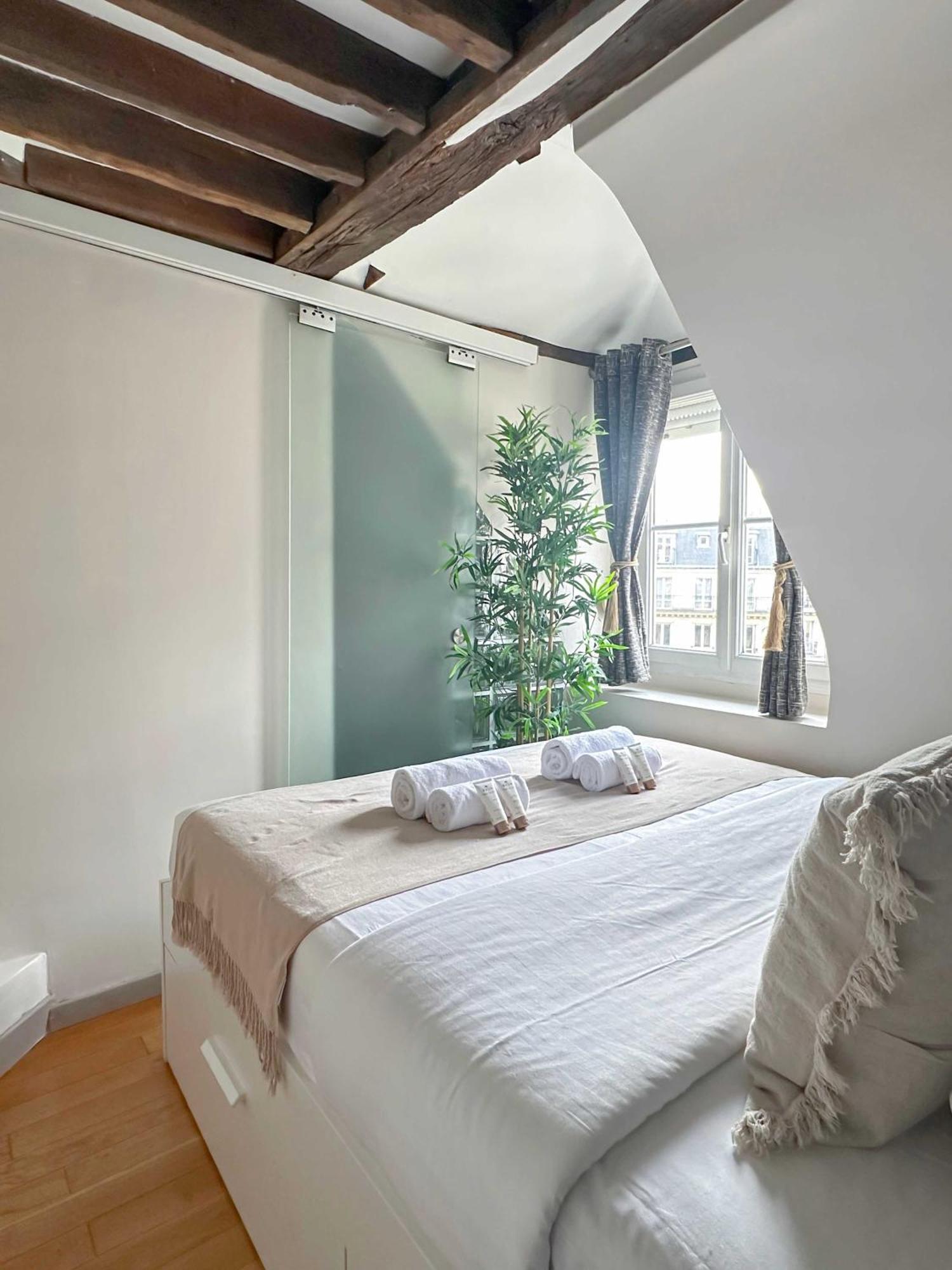 Apartment Beautiful Near Grands Boulevards Paris