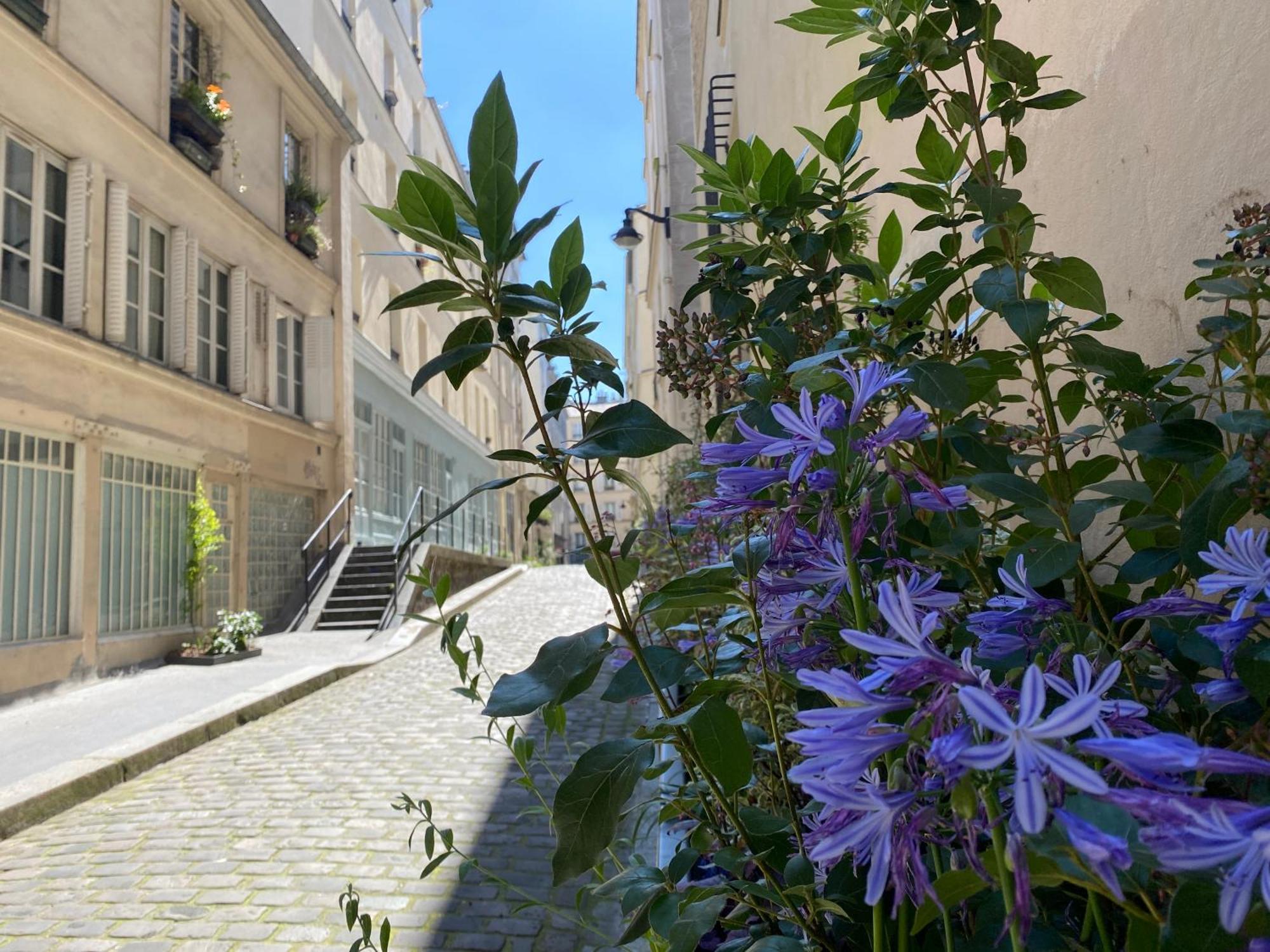 Sacre Coeur Arev Sur Les Pas D Emily In * Parigi