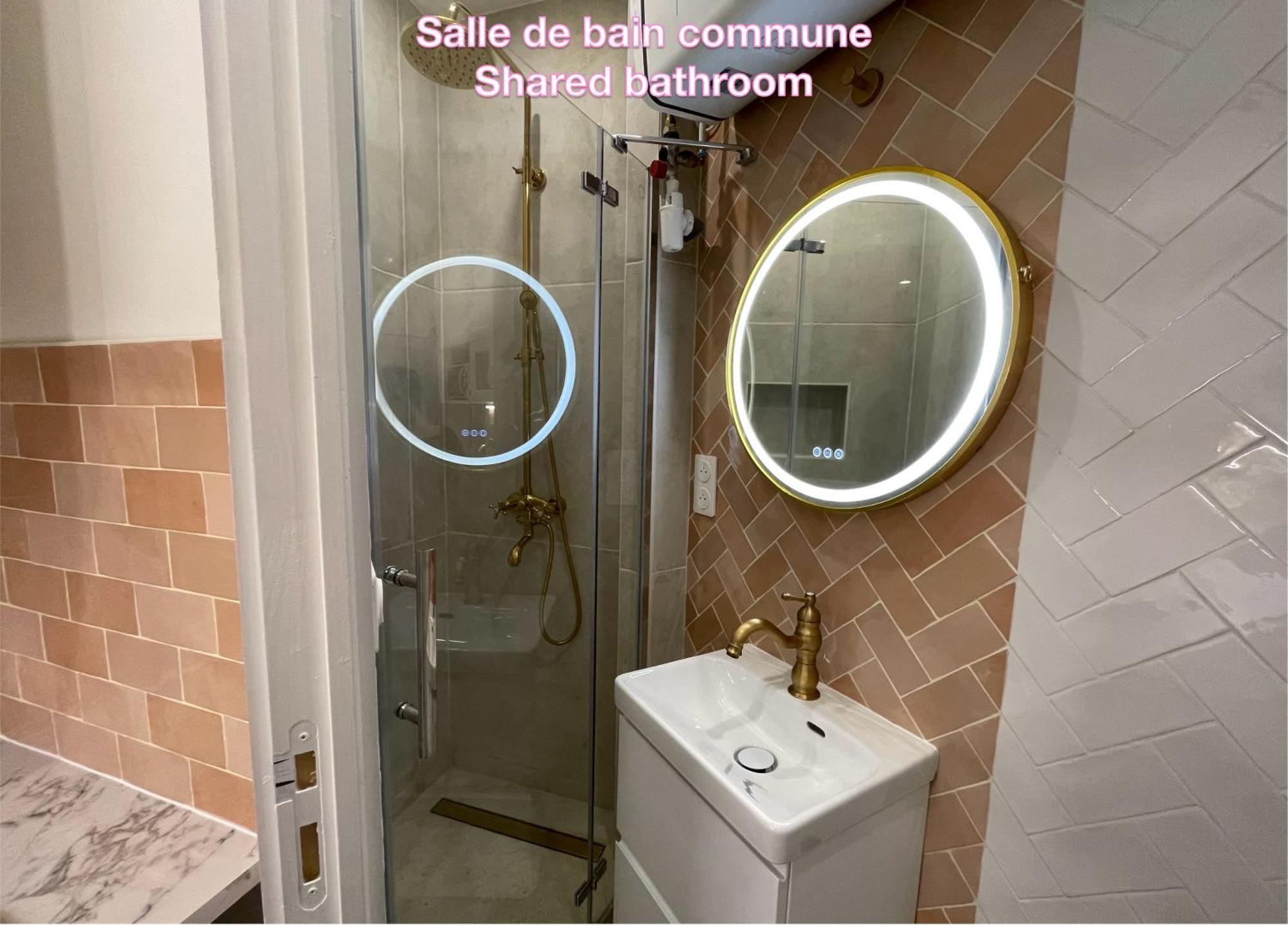 Privee, Sdb Partage, Arc De Triomphe, Metro 1, T3b, Rer C E A * Parigi