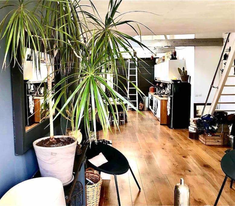 Appartamento Loft De Charme Louvre Tuileries Palais Royal *