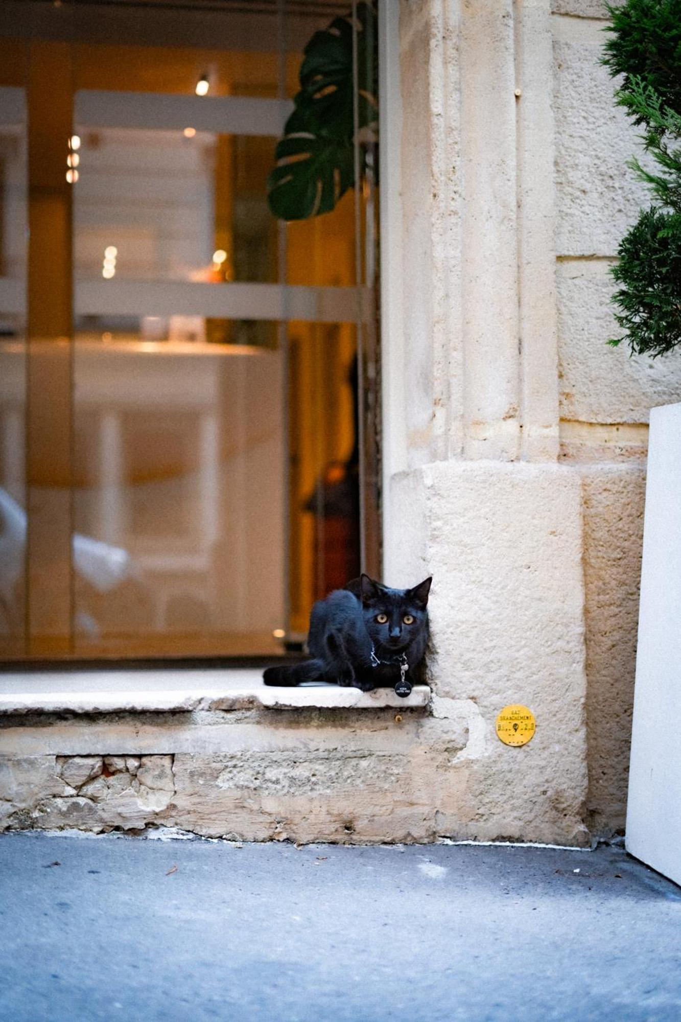 Vendome Saint-germain Parigi