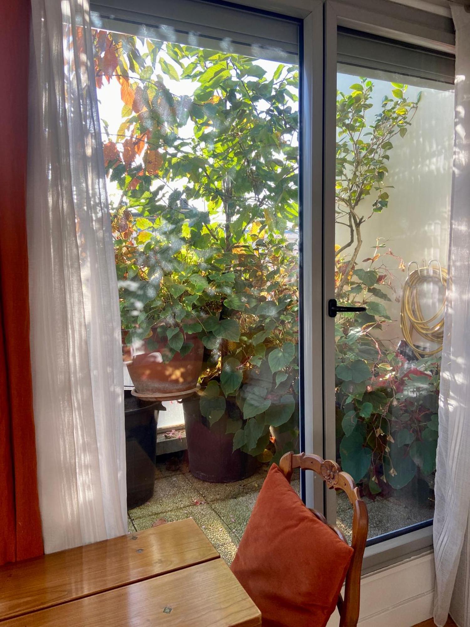 Appartamento Avec Terrasse
