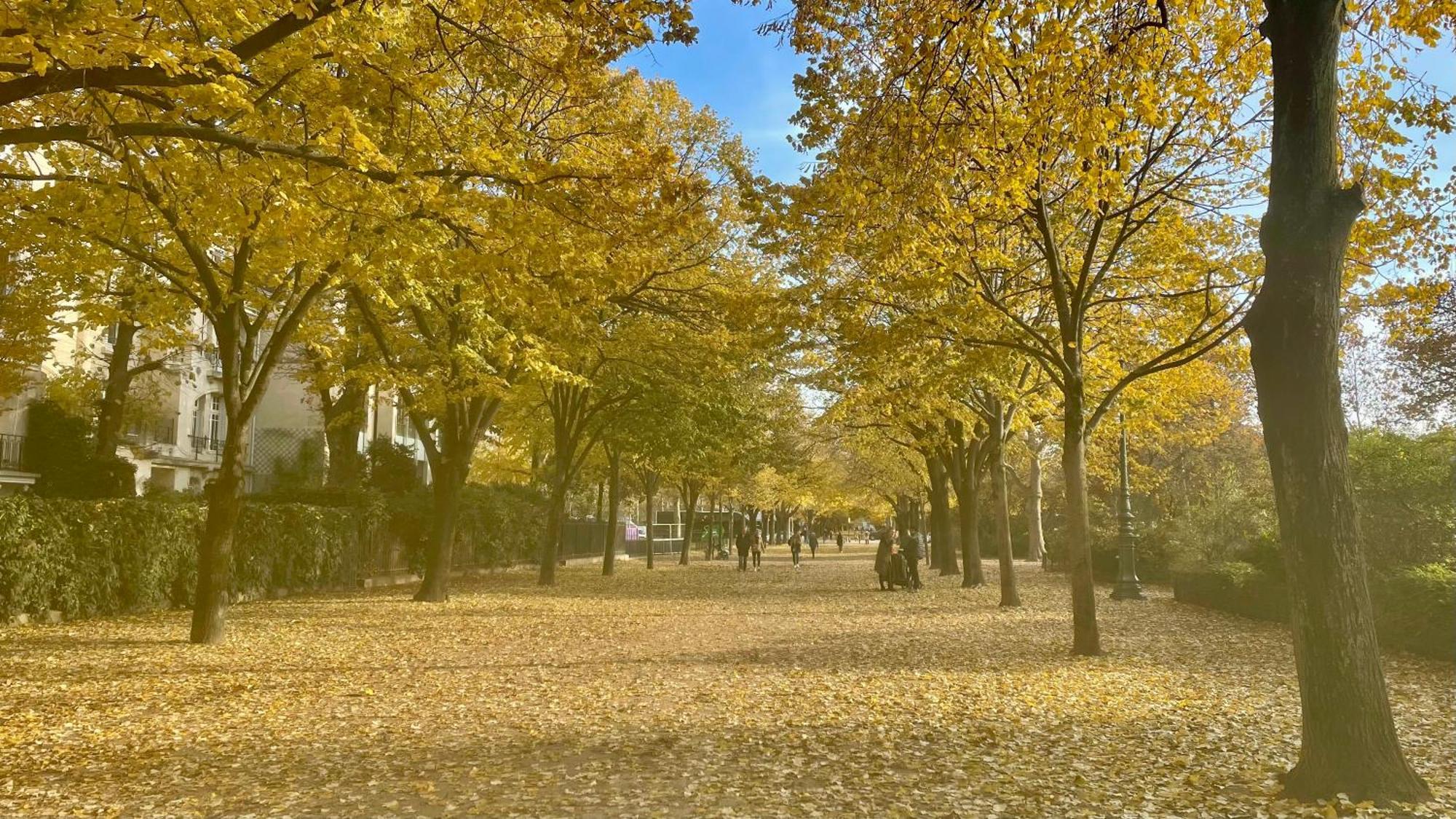 Elegant - 2br-5p - Champs De Mars Parigi