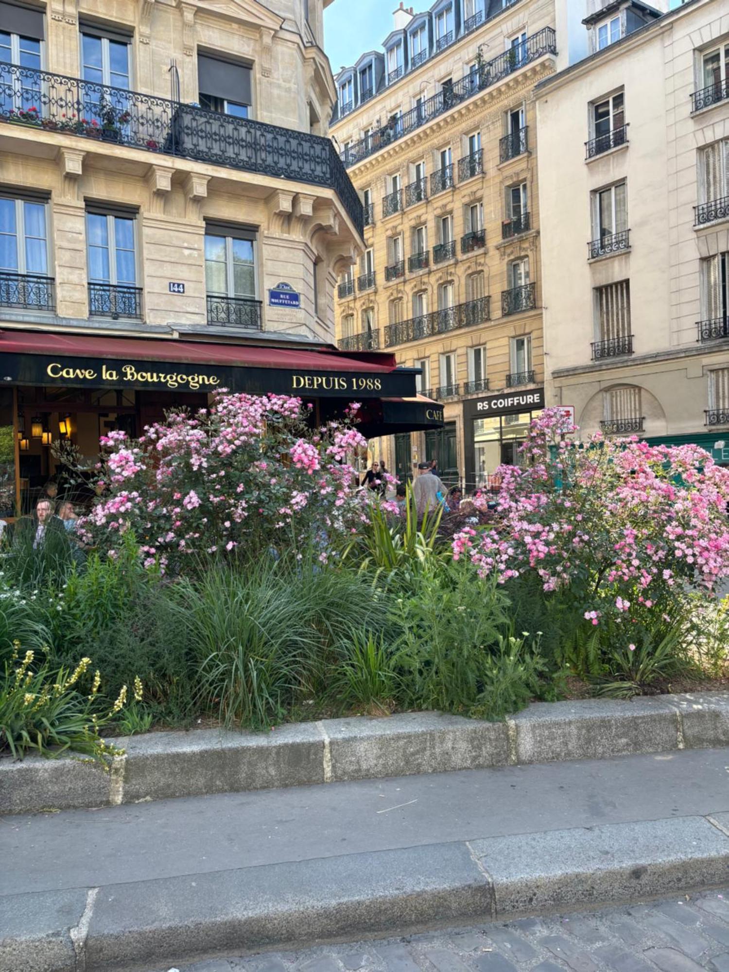 Appartamento - Elegant Rue Mouffetard - Prestation De Luxe
