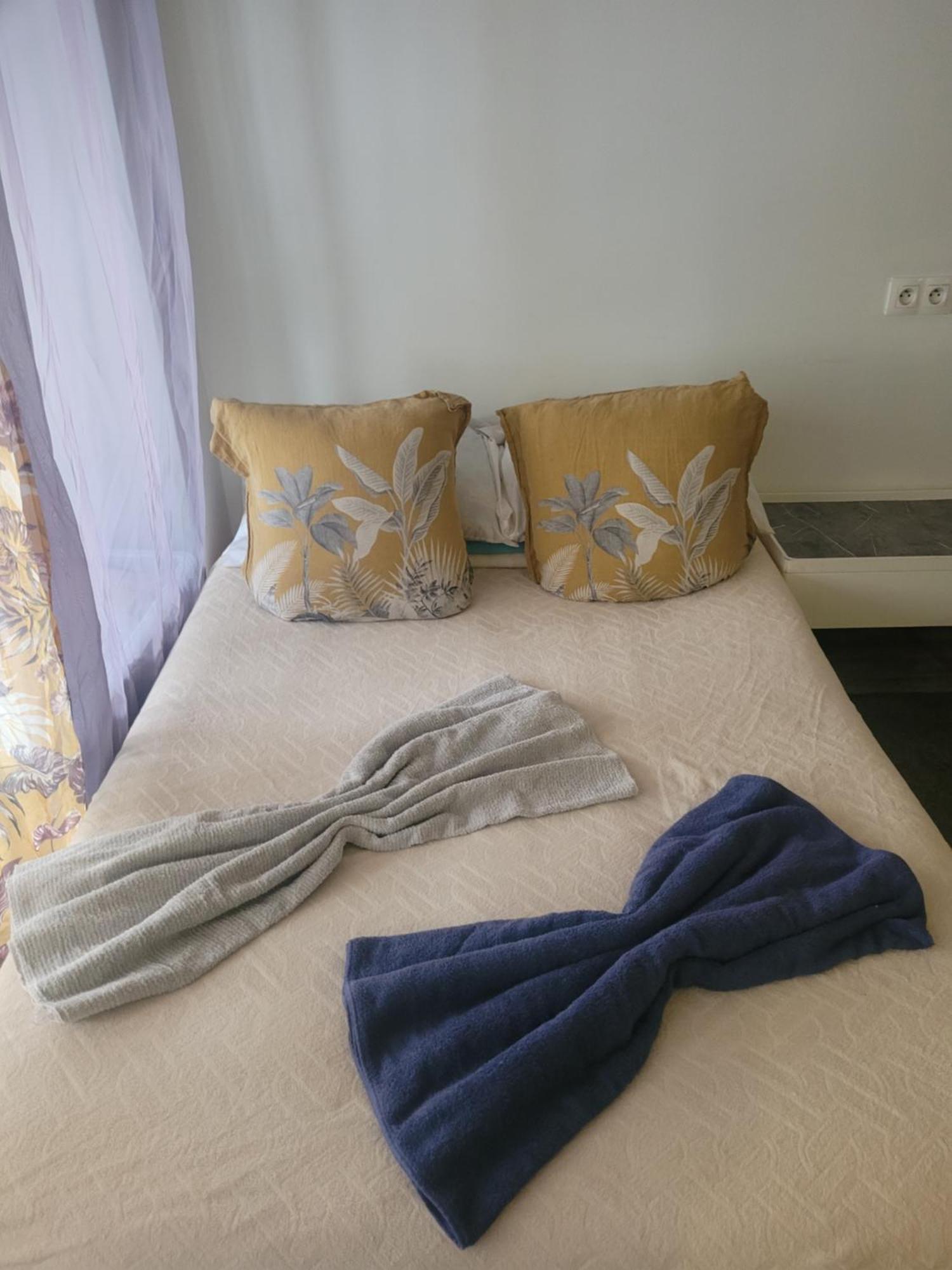 Petit Super Confor Hostel