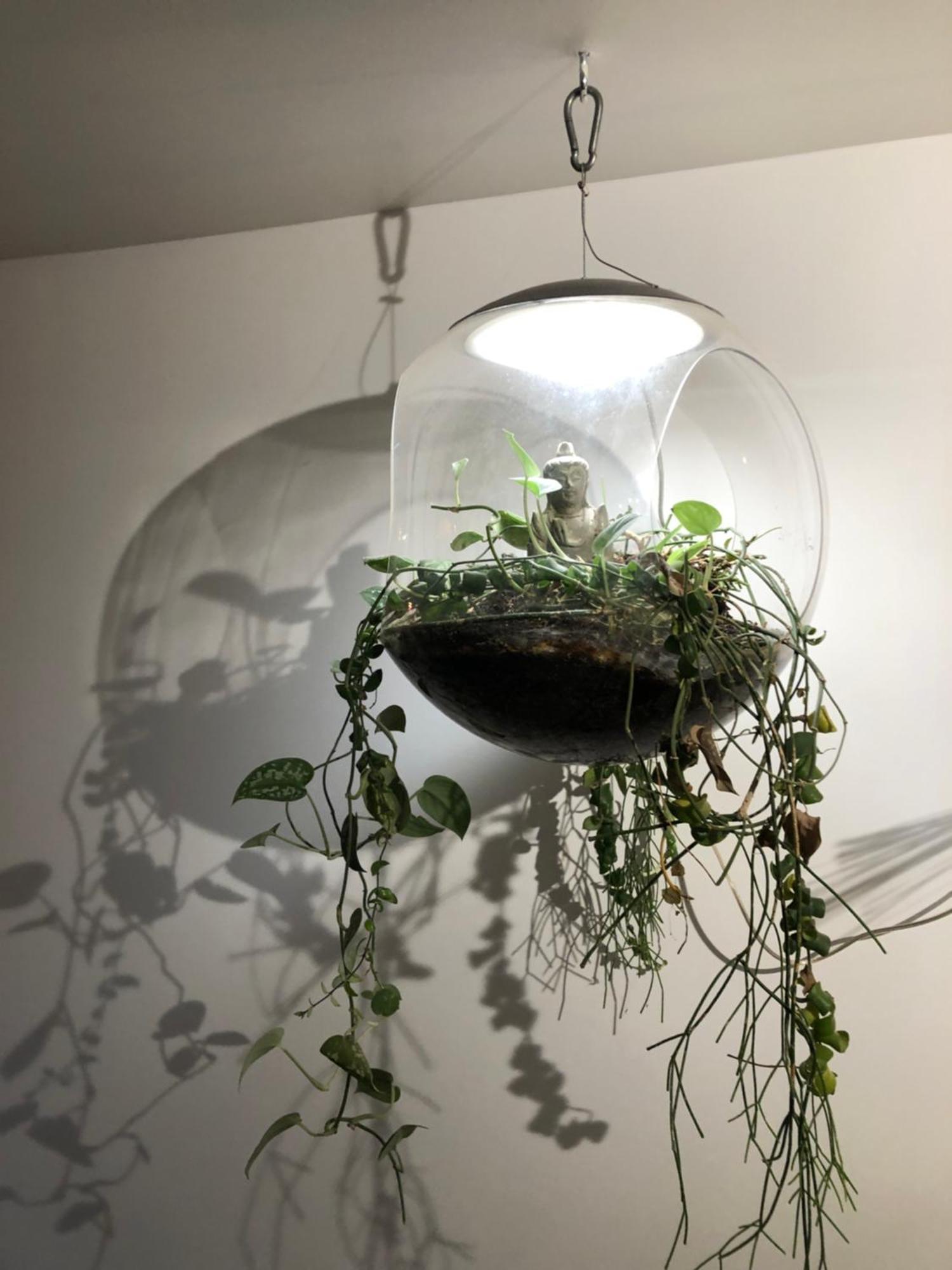 Charming House, Calm Garden In The Center Of Appartamento *
