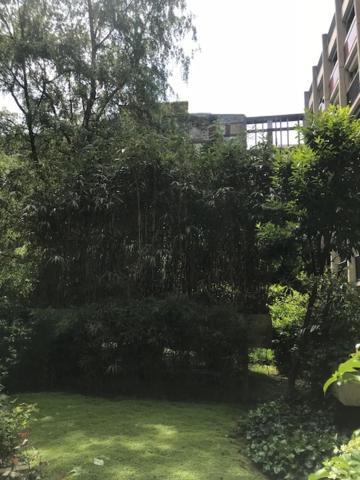 Havre De Paix En Plein Apartment *