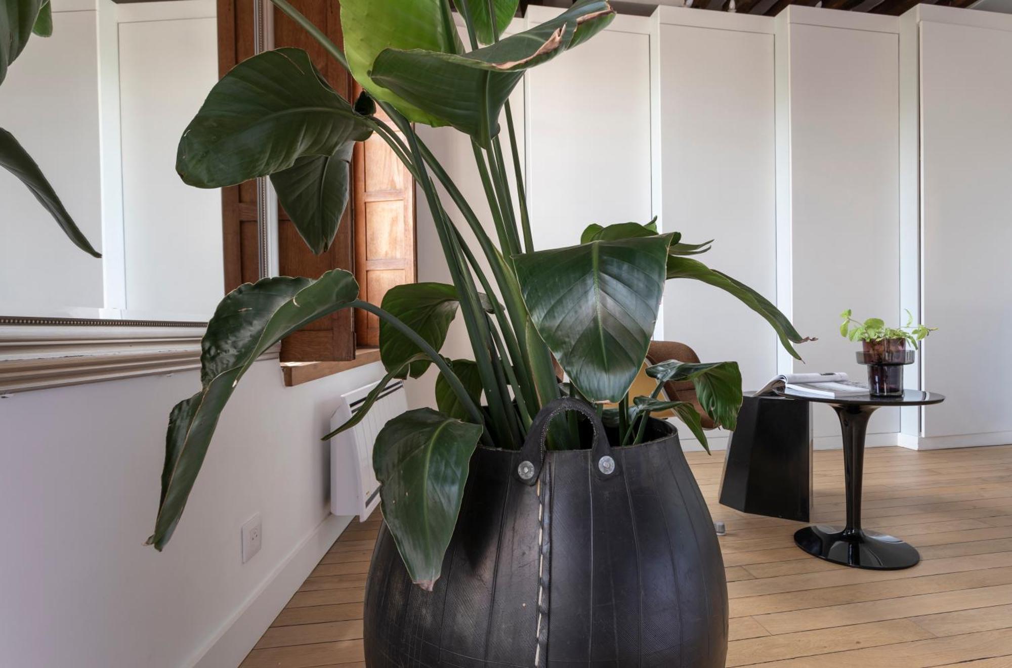 Appartamento Notre-dame Stunning 2 Bedroom Air Conditioned Flat