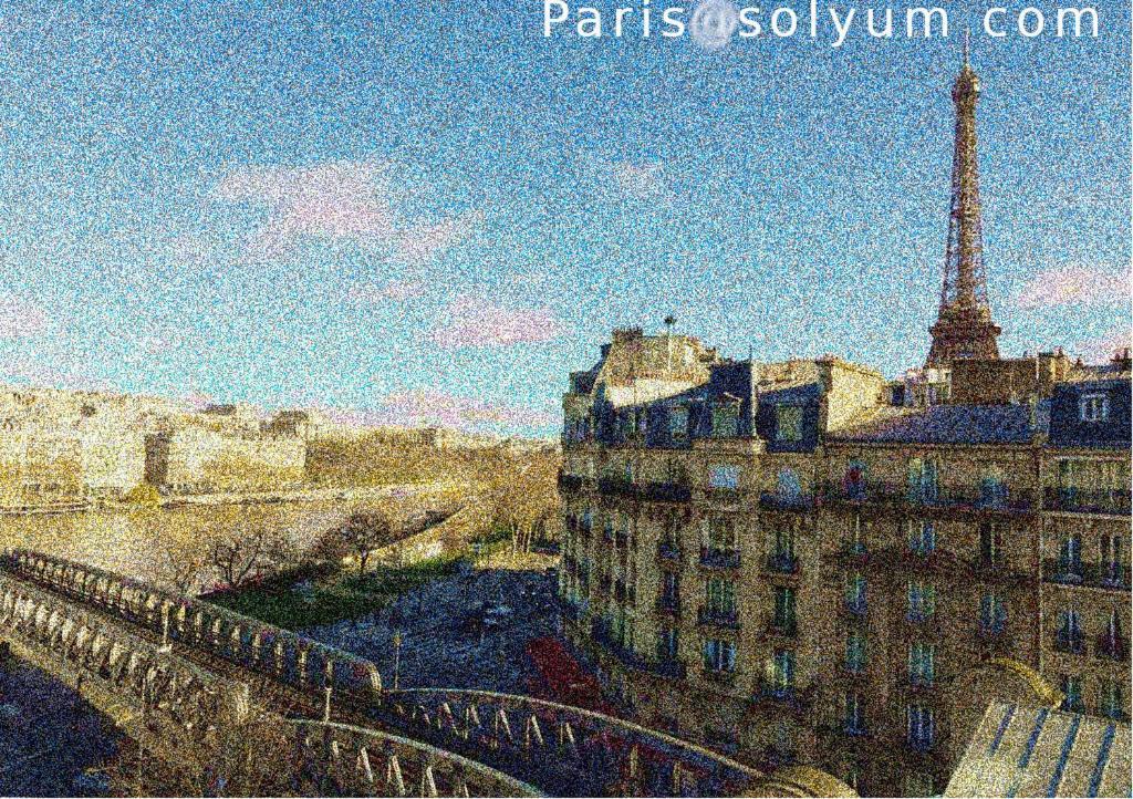 Apartment Charmant Parisien Paris