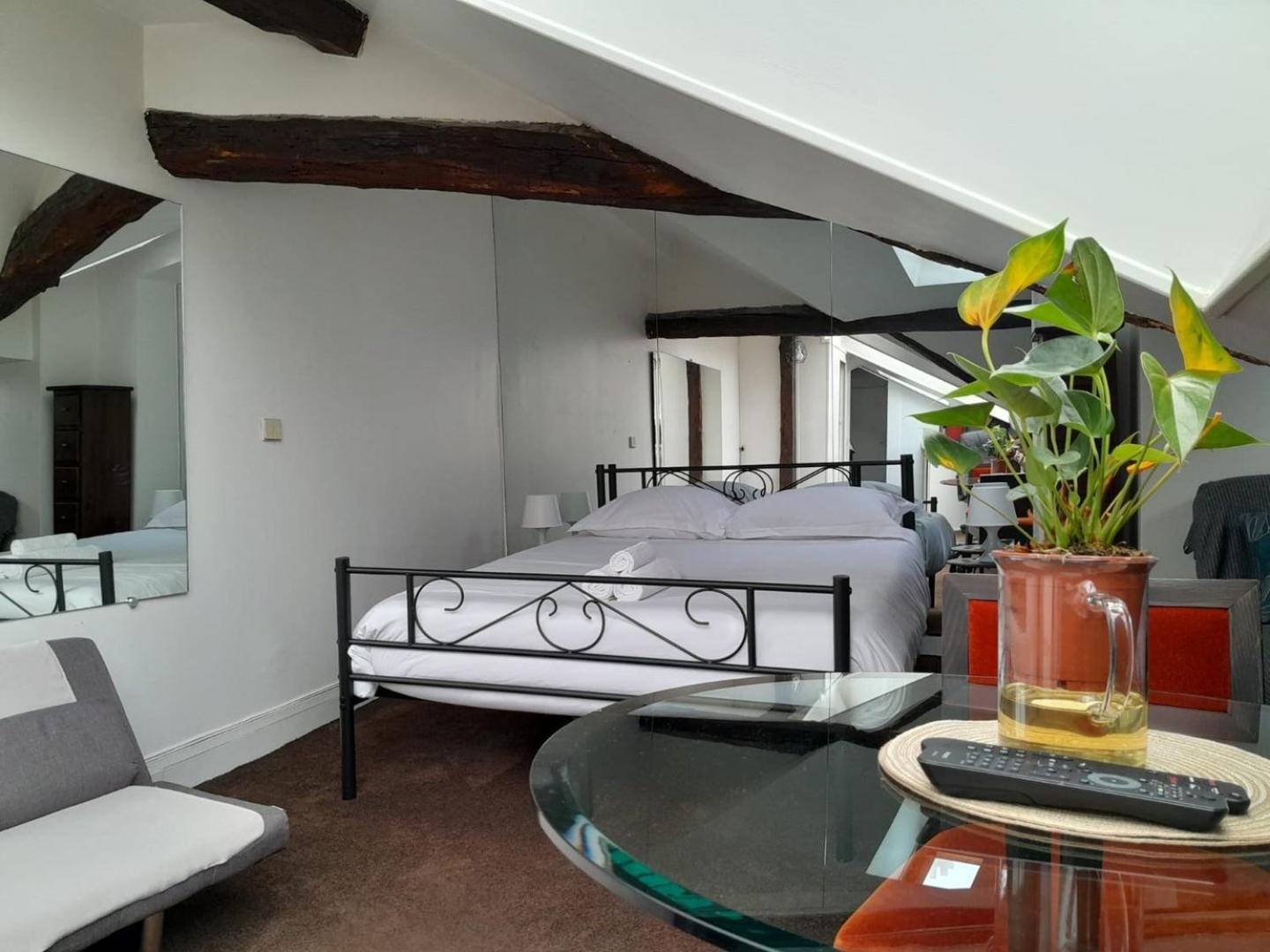 Apartment Le Singulier - Au Coeur De *