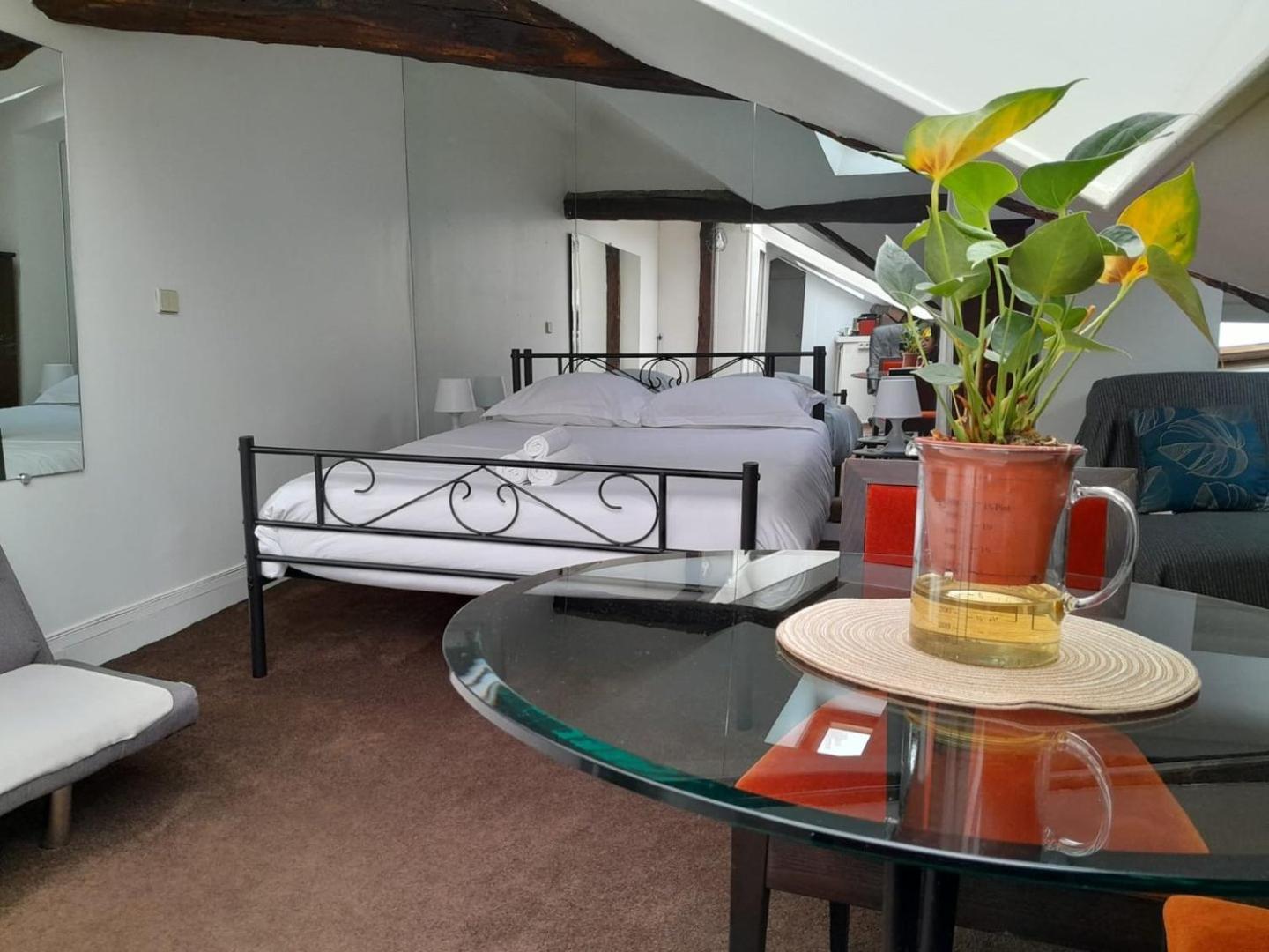 Le Singulier - Au Coeur De Apartment Paris