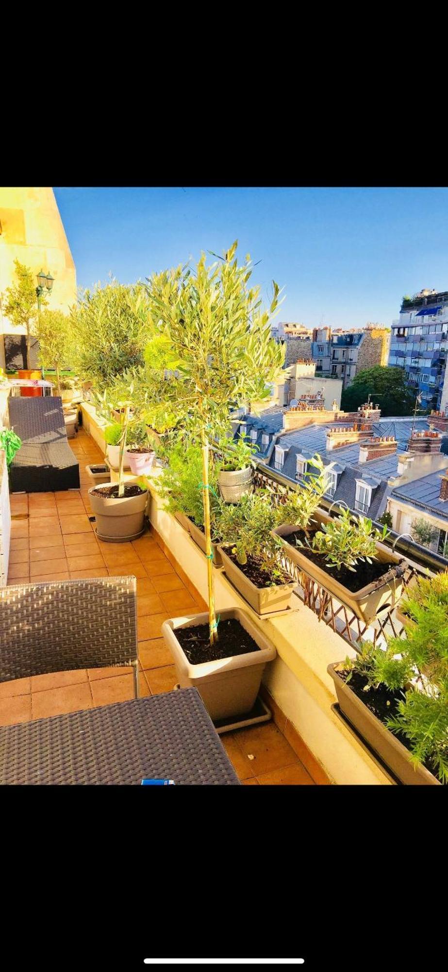 Terrasse Vue Tour Eiffel