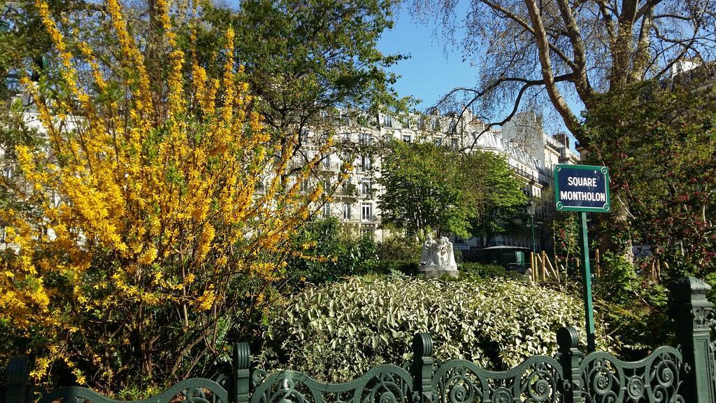 Western Anjou Lafayette