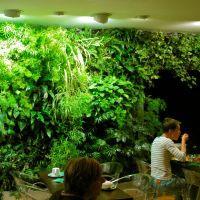 Ideal Design Hotel