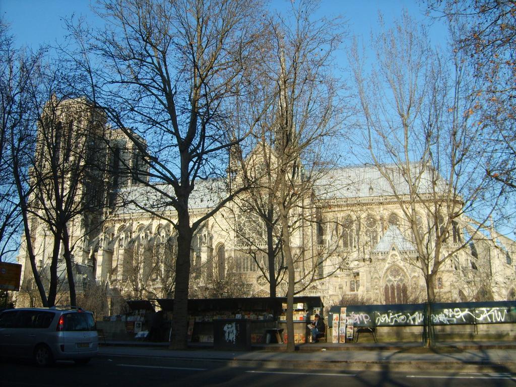 Frederic Sauton Studio Notre-dame