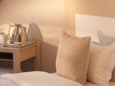Hotel Du Savoir 3*