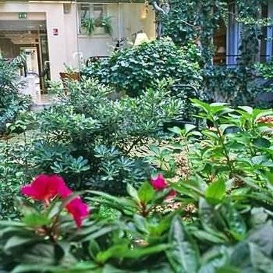 Montcalm Hotel 3*