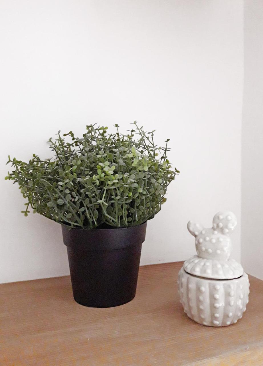 Apartment Haussmann Paris