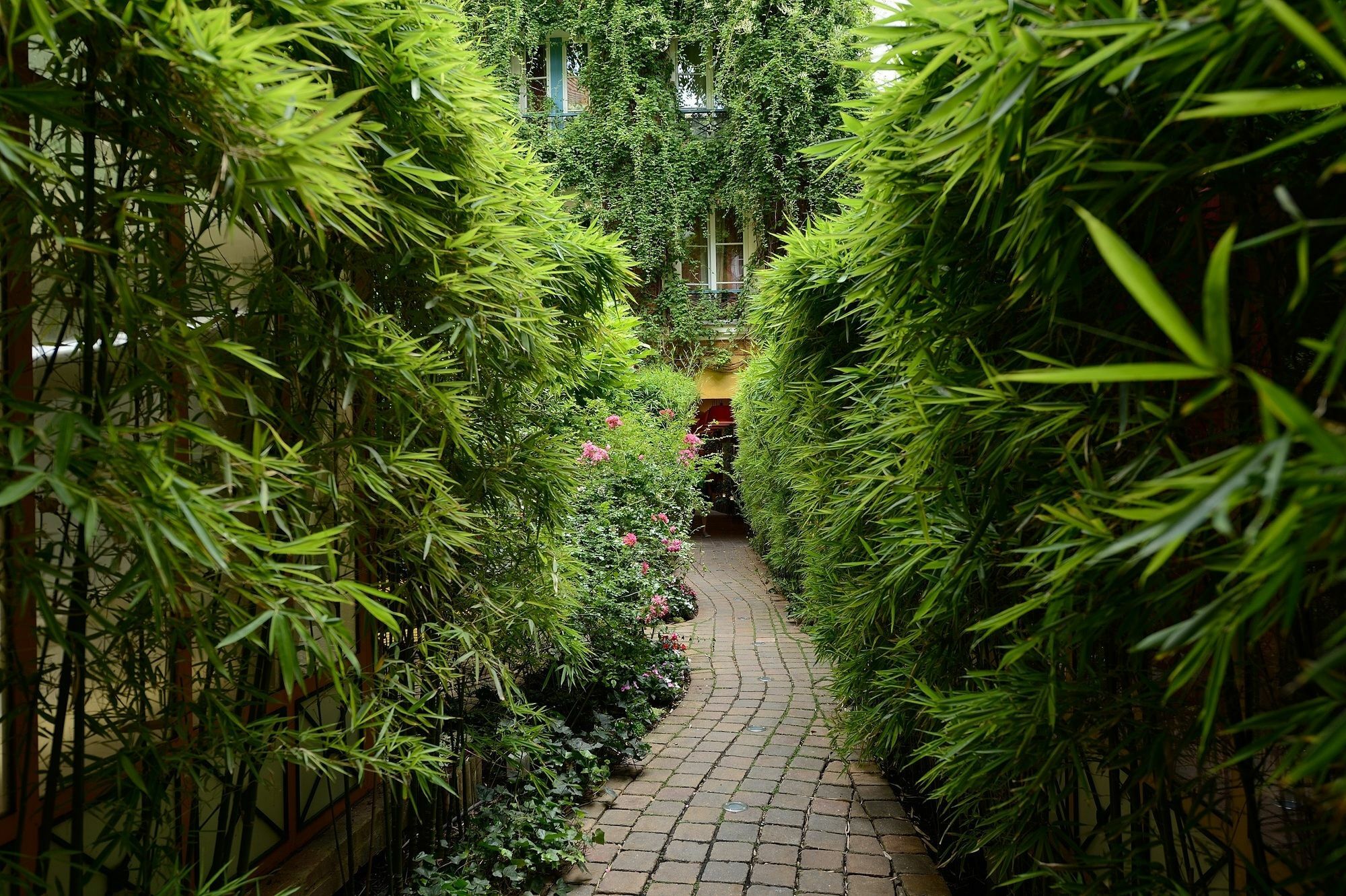 Les Patios Du Marais 1