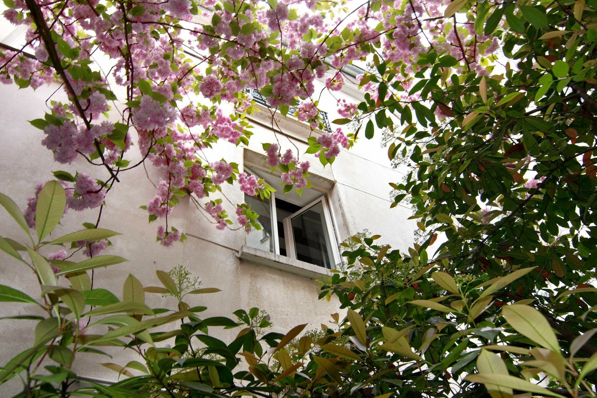 Locanda My Nest - Mouffetard Parigi