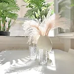 Servandoni - Heart Of Saint Germain Des Pres - Best Location