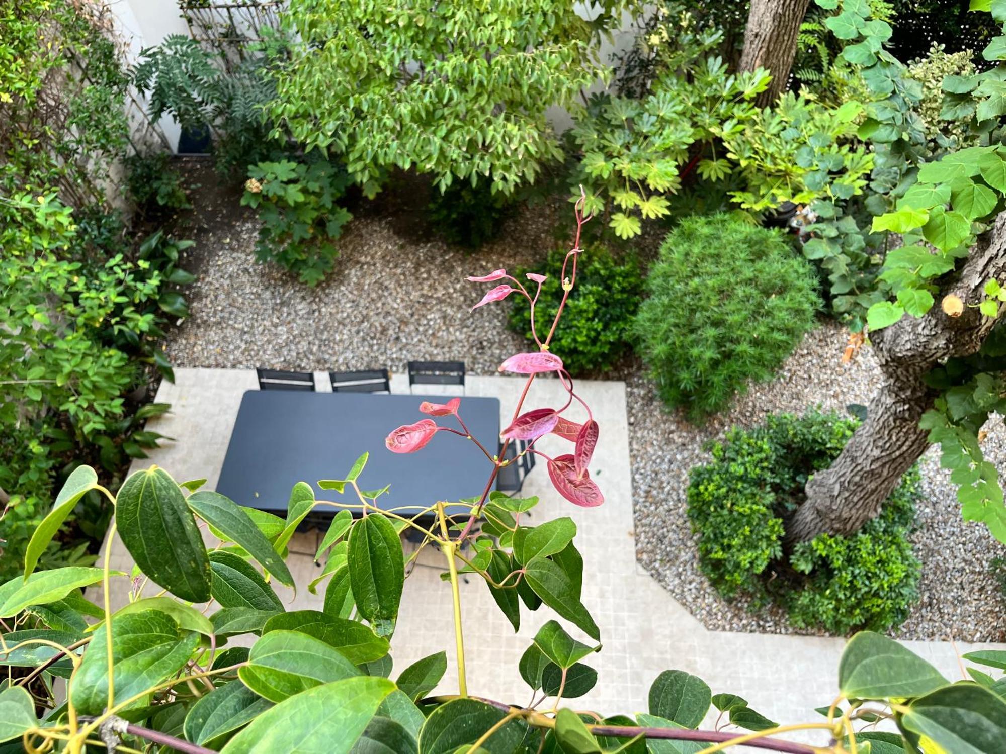 La D'auteuil, 16, Renovee *