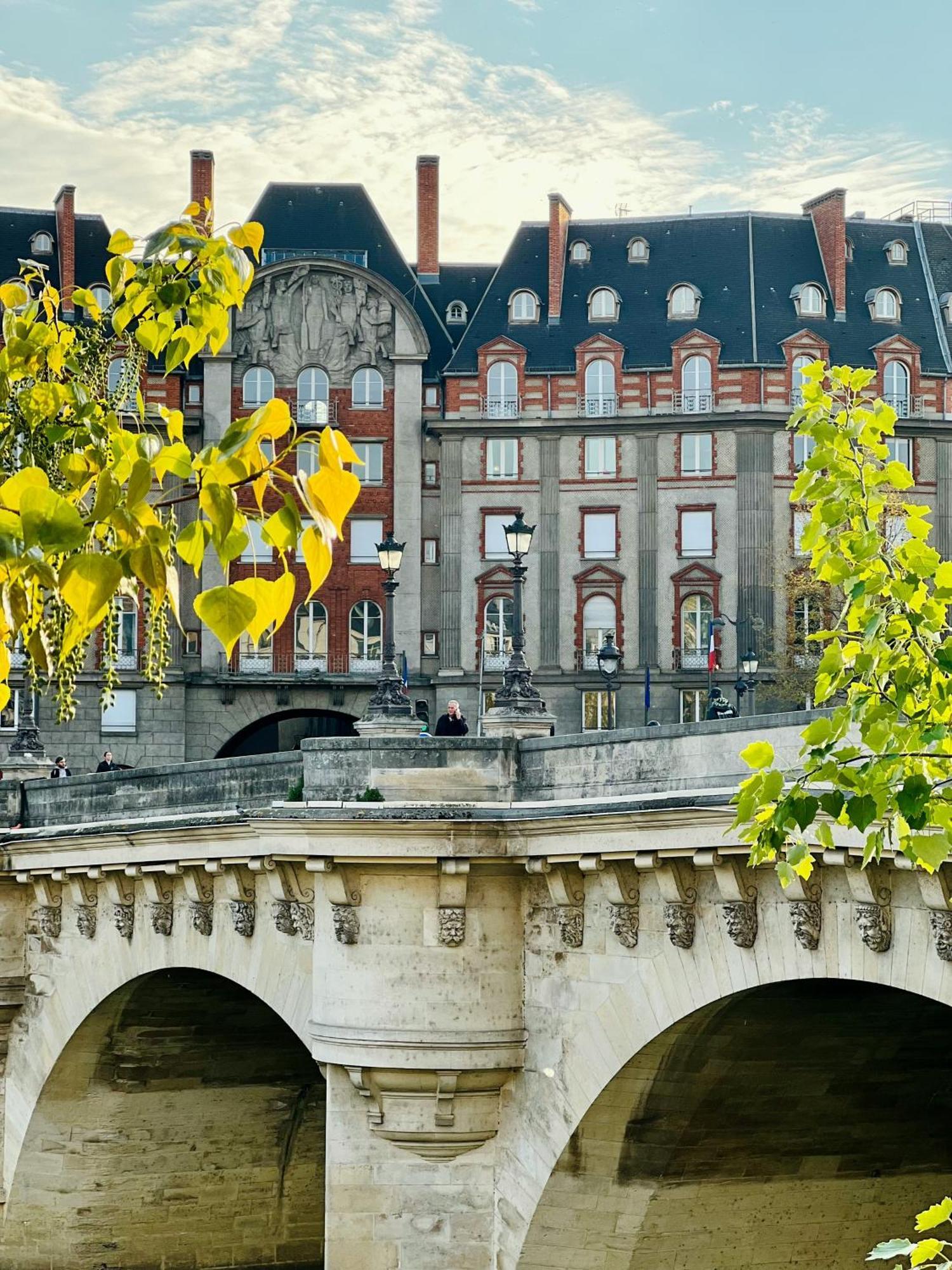 Apartment Luxurious Flat In Saint-germain-des-pres Paris