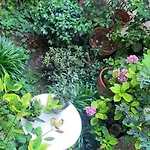 Une Chambre A Paris 20Eme Avec Un Petit Jardin