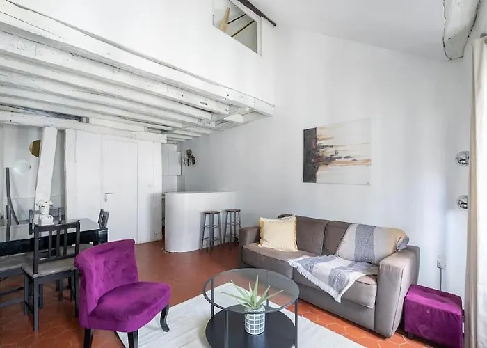 Joli Duplex Au Coeur Du Marais