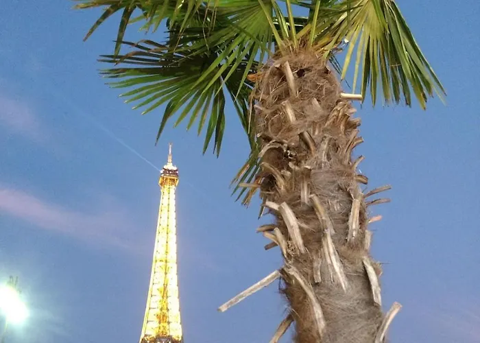 Eiffel Tower Home In Paris