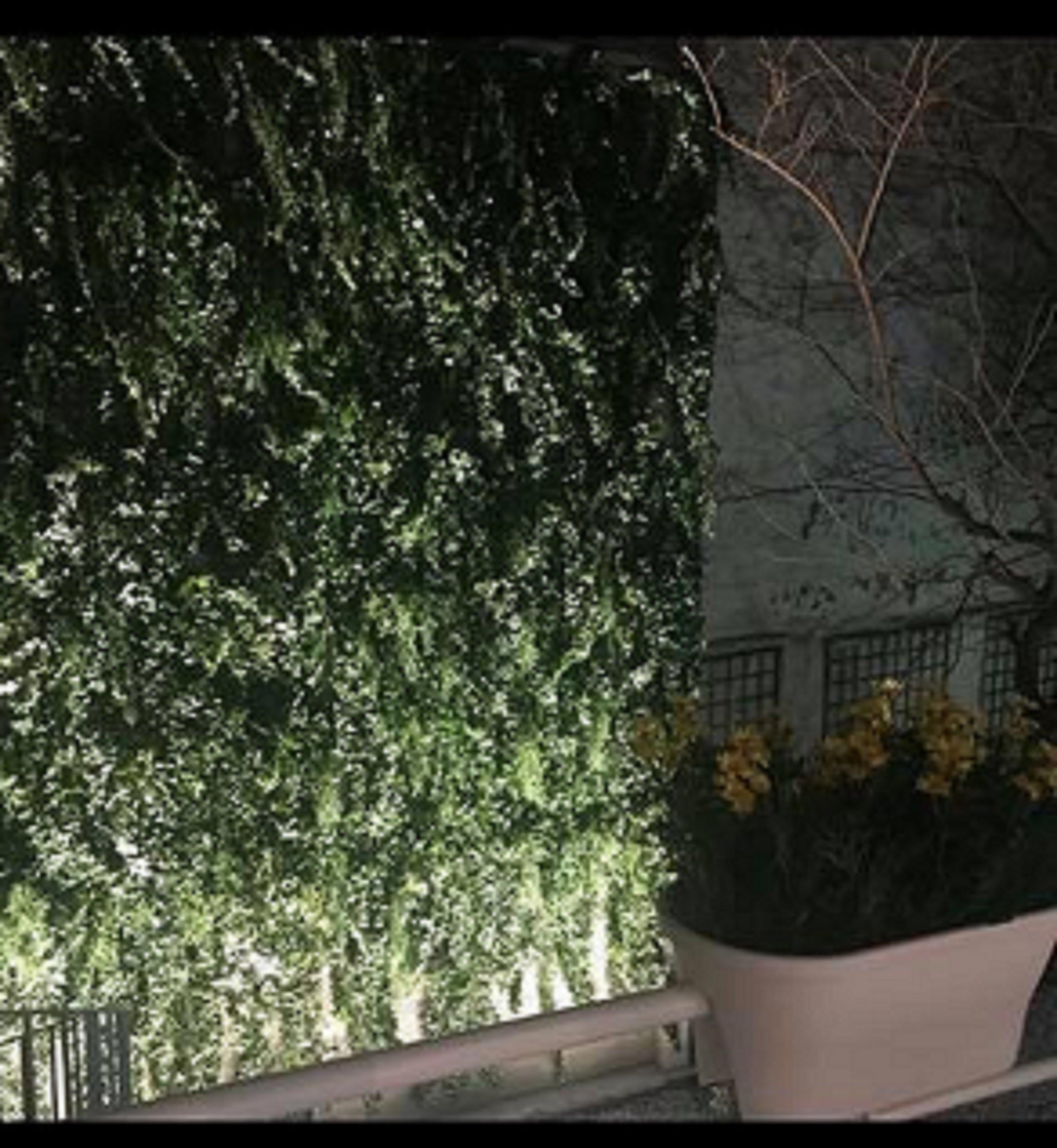 Montmartre By Ihg 4* Parigi