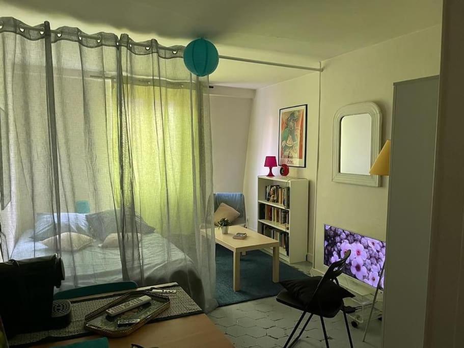 Charmant Studio Sous Les Toits De Apartment