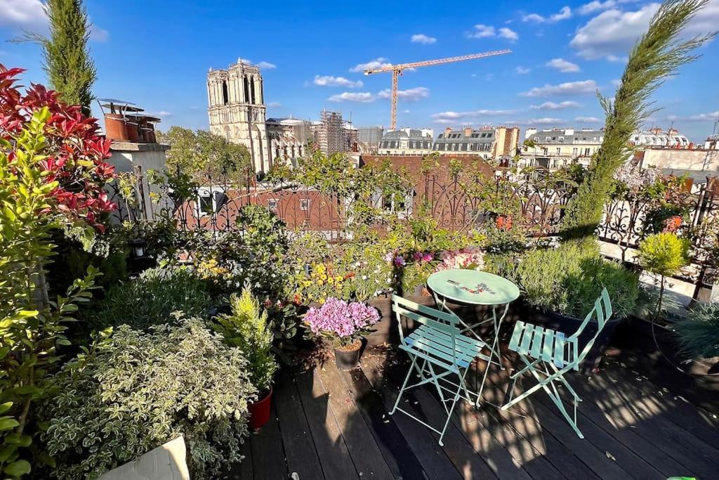 Rooftop Triplex With Garden At Notre Dame *